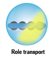 Role de transport